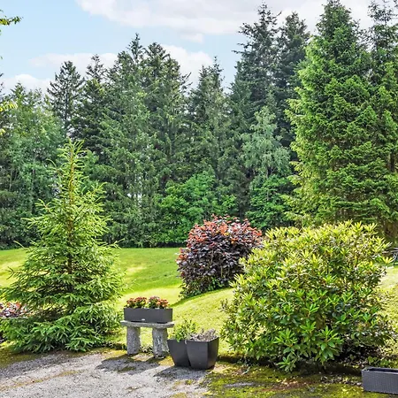 Esche 3 By Interhome 公寓 埃尔毛