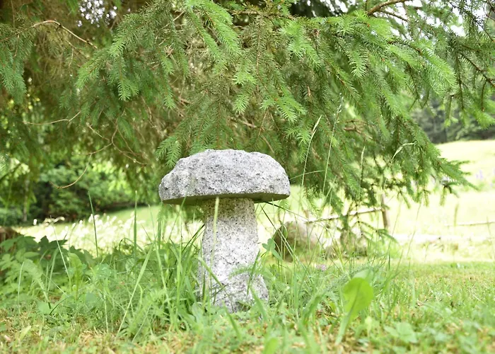 Esche 3 By Interhome Ellmau